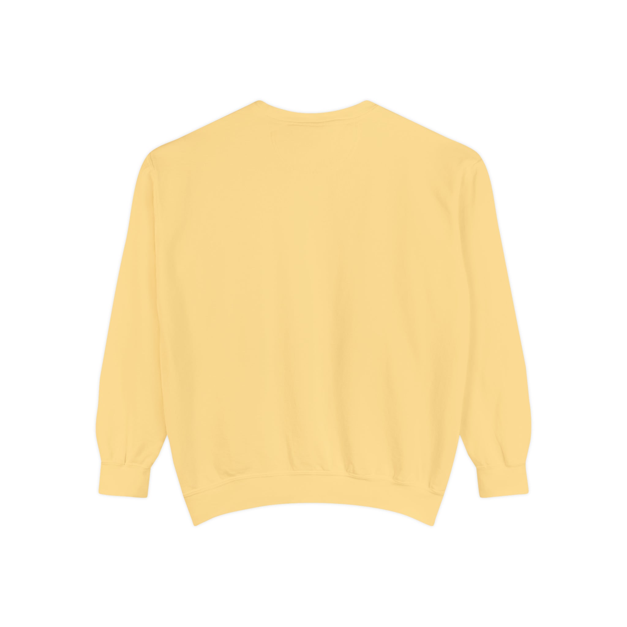 Sudadera unisex teñida en prenda