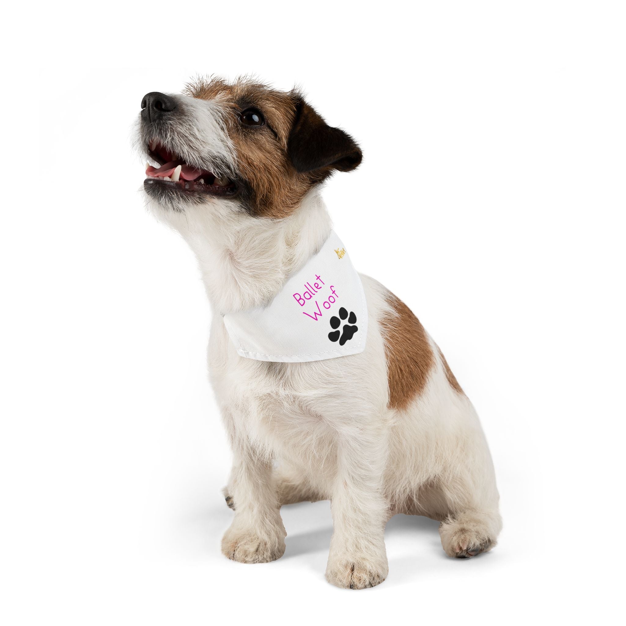 Collar de bandana de pata de ballet