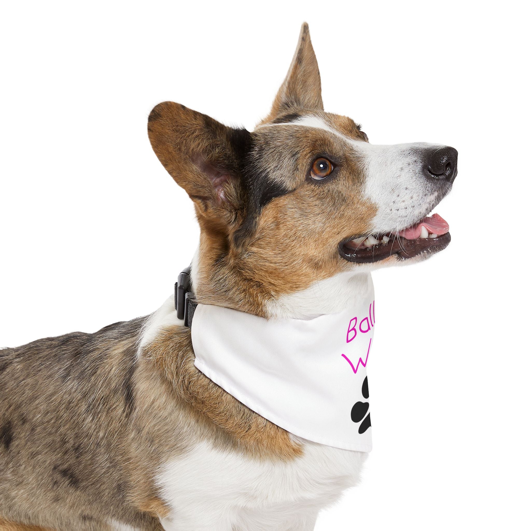 Collar de bandana de pata de ballet