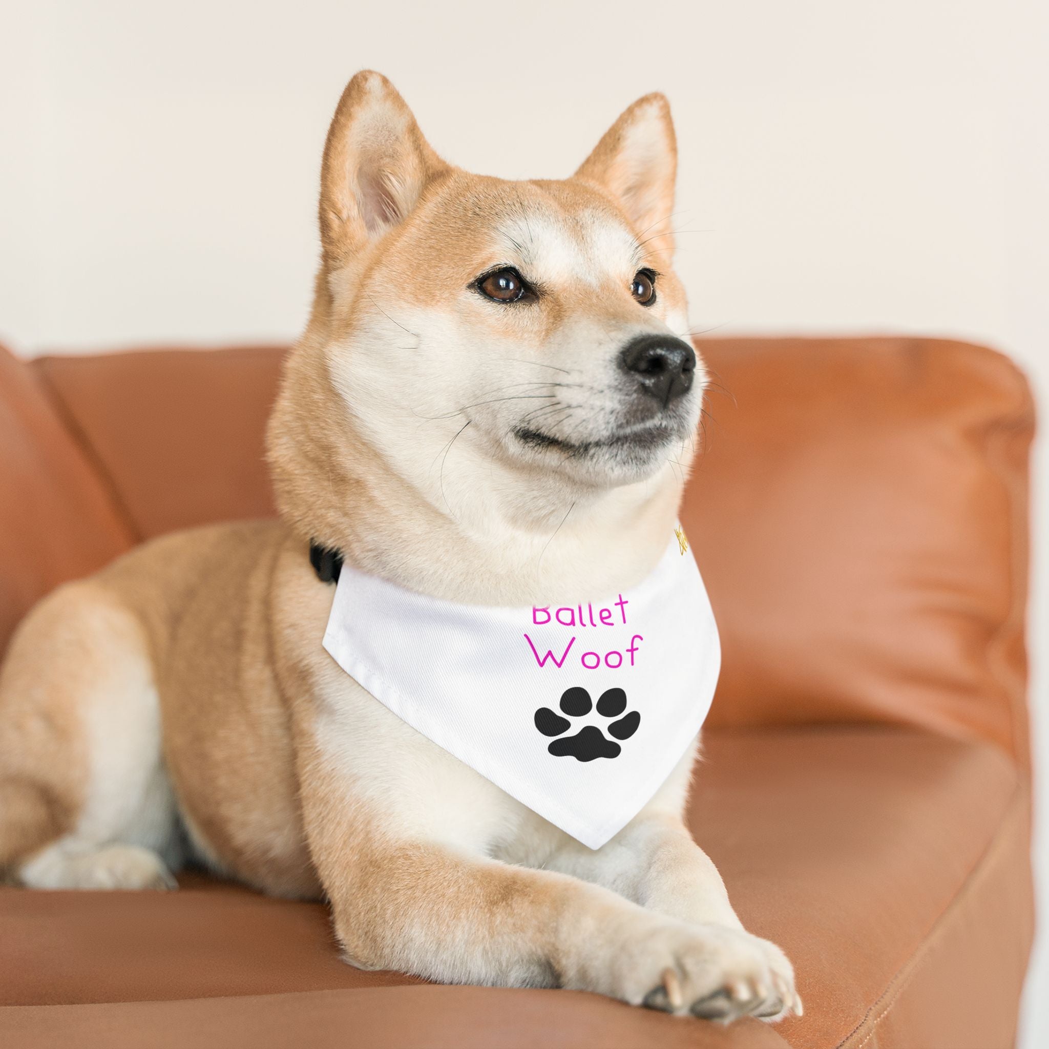 Collar de bandana de pata de ballet