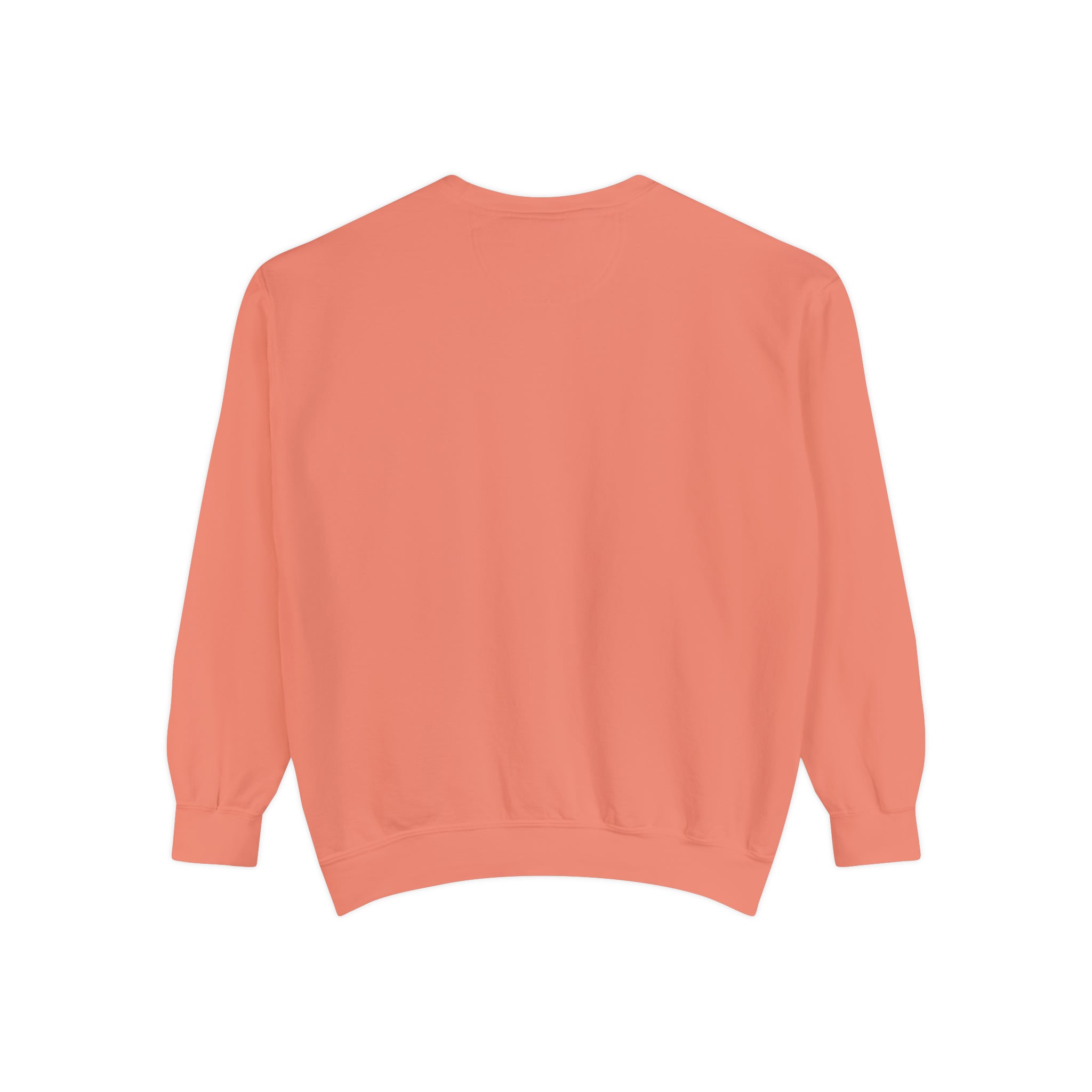 Sudadera unisex teñida en prenda