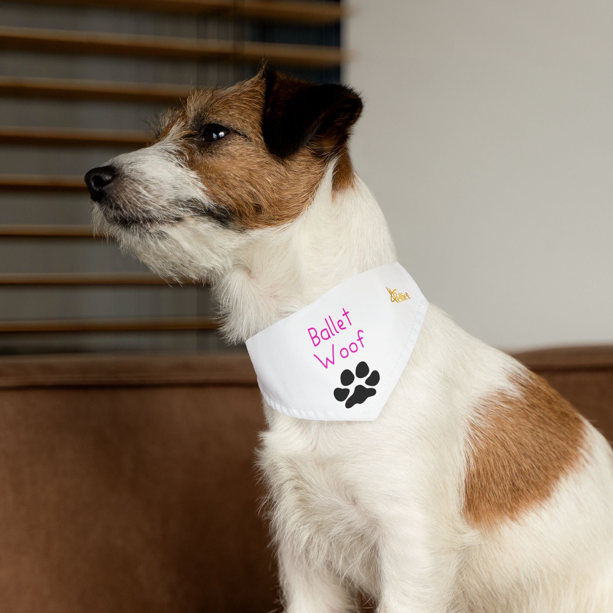 Collar de bandana de pata de ballet